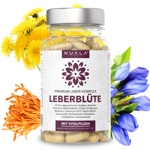 Leberblüte