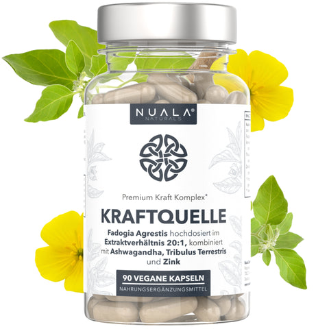 Kraftquelle