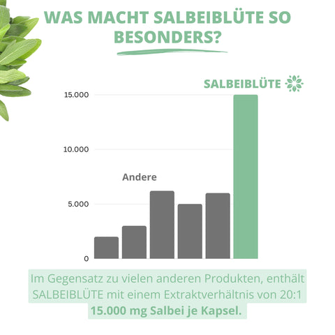 Salbeiblüte