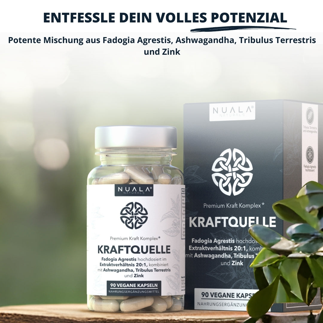 Kraftquelle